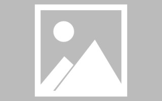 大悟论文网站建设（网站建设的论文）